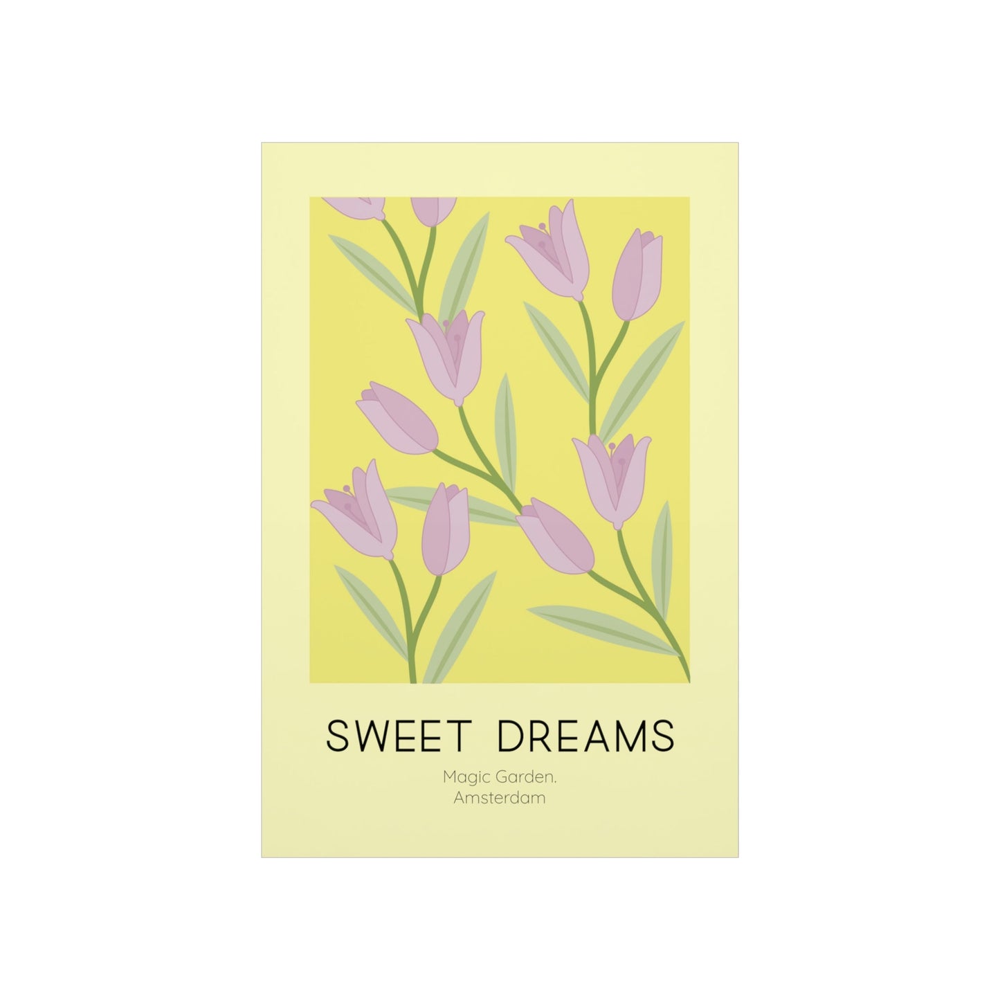 Sweet Dreams Tulip Poster