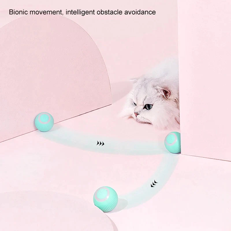 Electric Rolling Cat Toy Ball
