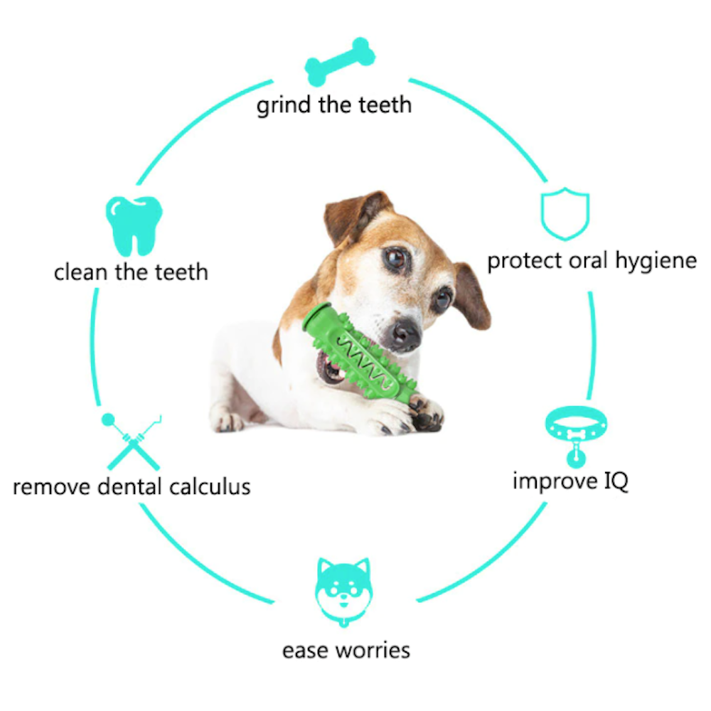 Two Tone Chewing Toy for Dogs