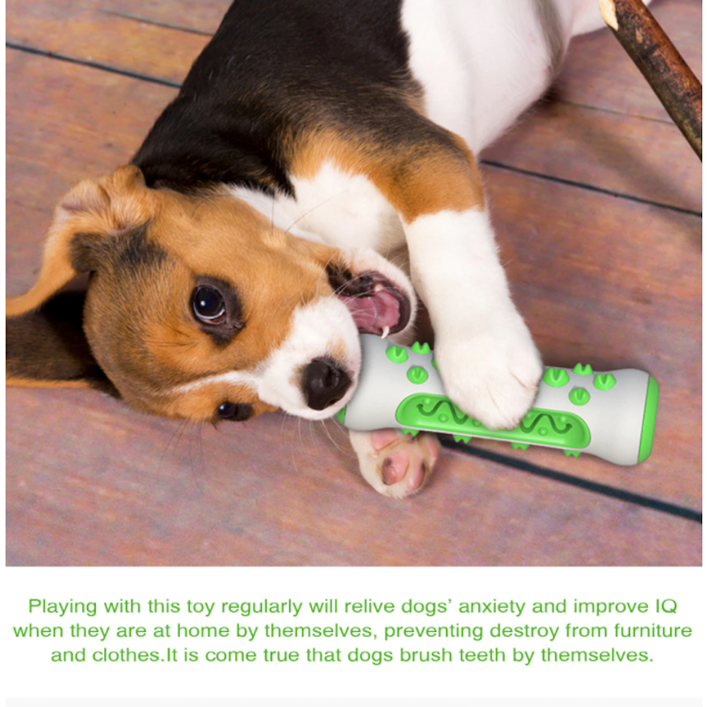 Two Tone Chewing Toy for Dogs