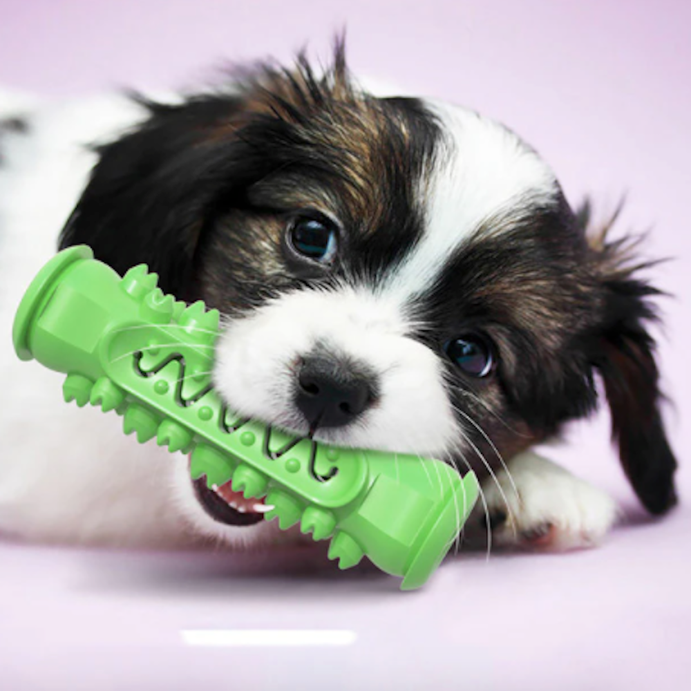 Two Tone Chewing Toy for Dogs
