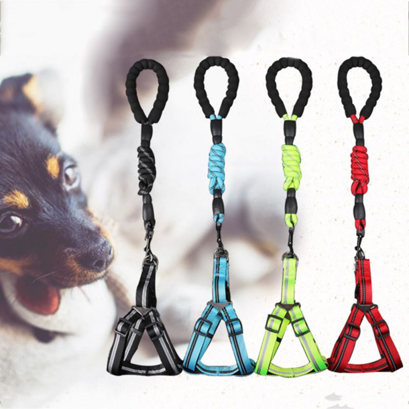 Comfortable Dog Leash with Padded Handle