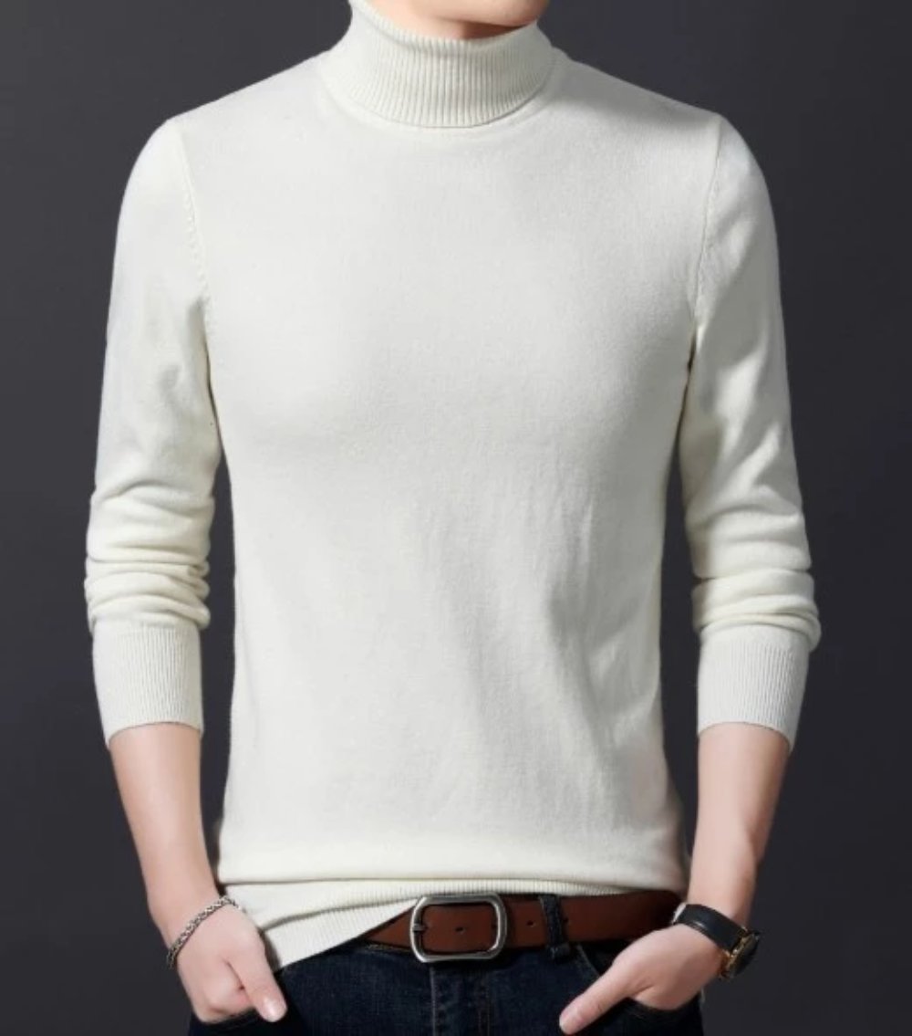 Mens Slim Fit Turtle Neck Sweater