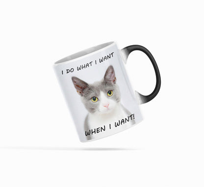 Bossy Kitten Heat Sensitive Color Changing Coffee Mug